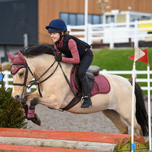 Load image into Gallery viewer, Charles Owen Kontor Body Protector