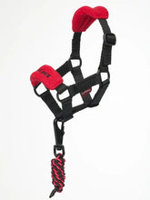 Load image into Gallery viewer, LeMieux Toy Pony Vogue Headcollar Chilli