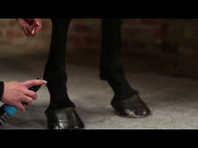 Load and play video in Gallery viewer, Carr & Day & Martin Wound Cream