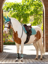 Load image into Gallery viewer, LeMieux Mini Classic Fly Hood Lagoon