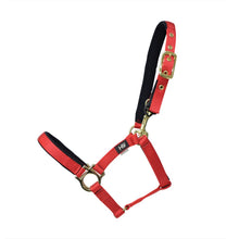 Load image into Gallery viewer, Hy Fieldsafe Headcollar