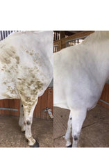 Load image into Gallery viewer, Smart Grooming Polar White Stain Remover 500ml