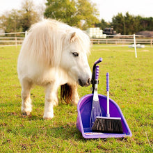 Load image into Gallery viewer, Red Gorilla Teenie Tidee Companion Set