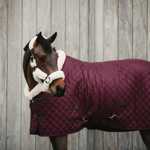 Load image into Gallery viewer, Kentucky Horsewear Show Rug Bordeaux