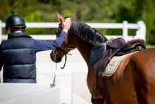 Load image into Gallery viewer, Winderen Saddle Pad Dressage Latte/Chocolate