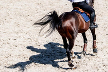 Load image into Gallery viewer, Winderen Jumping Comfort Half Pad - 18mm