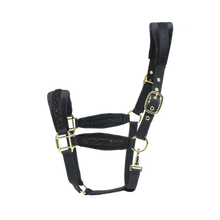 Load image into Gallery viewer, Kentucky Horsewear Glitter Stone Halter