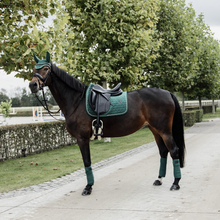 Load image into Gallery viewer, Kentucky Horsewear Saddle Pad Velvet Dressage