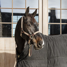 Load image into Gallery viewer, Kentucky Horsewear Plaited Nylon Halter Beige