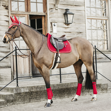 Load image into Gallery viewer, Kentucky Horsewear Saddle Pad Velvet Jumping