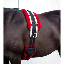 Load image into Gallery viewer, Mattes Harness (Roller) Pad with Flex 80cm