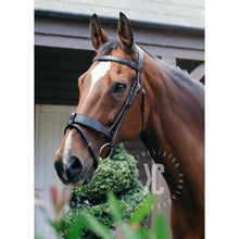 Load image into Gallery viewer, EcoRider Comfort Hunter/Show Bridle