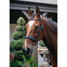 Load image into Gallery viewer, EcoRider Comfort Hunter/Show Bridle