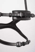 Load image into Gallery viewer, Montar Monarch Organic Tanned Bridle Black