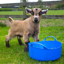 Load image into Gallery viewer, Red Gorilla Mini Shallow Tub 5ltr