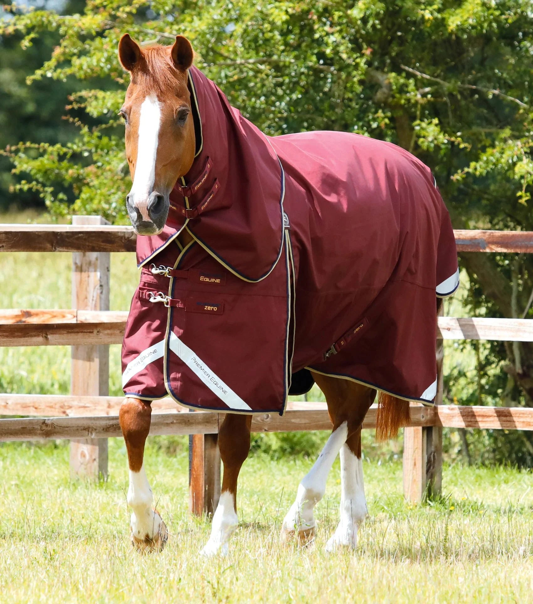 Premier Equine Buster Zero Turnout Rug with Classic Neck Cover Horse