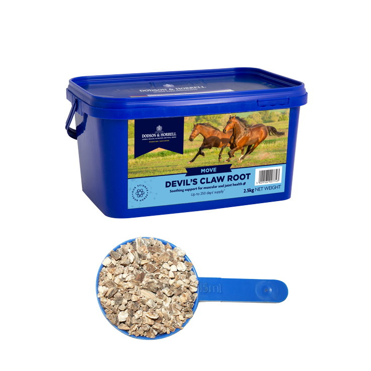 Dodson and horrell dog food deals