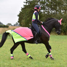 Load image into Gallery viewer, Equisafety Multi Coloured Horse Summer Sheet Pink/Yellow