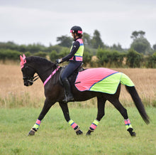 Load image into Gallery viewer, Equisafety Multi Coloured Horse Summer Sheet Pink/Yellow