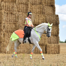Load image into Gallery viewer, Equisafety Multi Coloured Horse Summer Sheet Yellow/Orange
