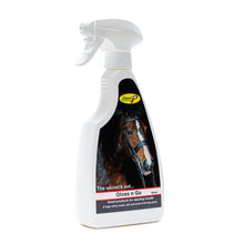 Load image into Gallery viewer, Smart Grooming Gloss N Go Finishing Spray 500ml