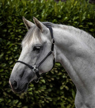 Load image into Gallery viewer, Premier Equine Hennarosa Rolled Anatomic Leather Headcollar
