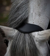 Load image into Gallery viewer, Premier Equine Hennarosa Rolled Anatomic Leather Headcollar