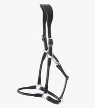 Load image into Gallery viewer, Premier Equine Hennarosa Rolled Anatomic Leather Headcollar