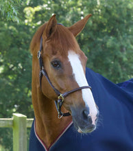 Load image into Gallery viewer, Premier Equine Hennarosa Rolled Anatomic Leather Headcollar