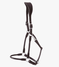 Load image into Gallery viewer, Premier Equine Hennarosa Rolled Anatomic Leather Headcollar