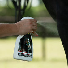 Load image into Gallery viewer, Smart Grooming Gloss N Go Finishing Spray 500ml