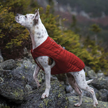 Load image into Gallery viewer, Kurgo Loft Jacket - Chilli Red/Grey