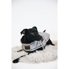 Load image into Gallery viewer, Kentucky Dogwear Reflective & Water Repellent Dog Coat