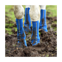Load image into Gallery viewer, Equilibrium Equi-Chaps Close Contact Chaps