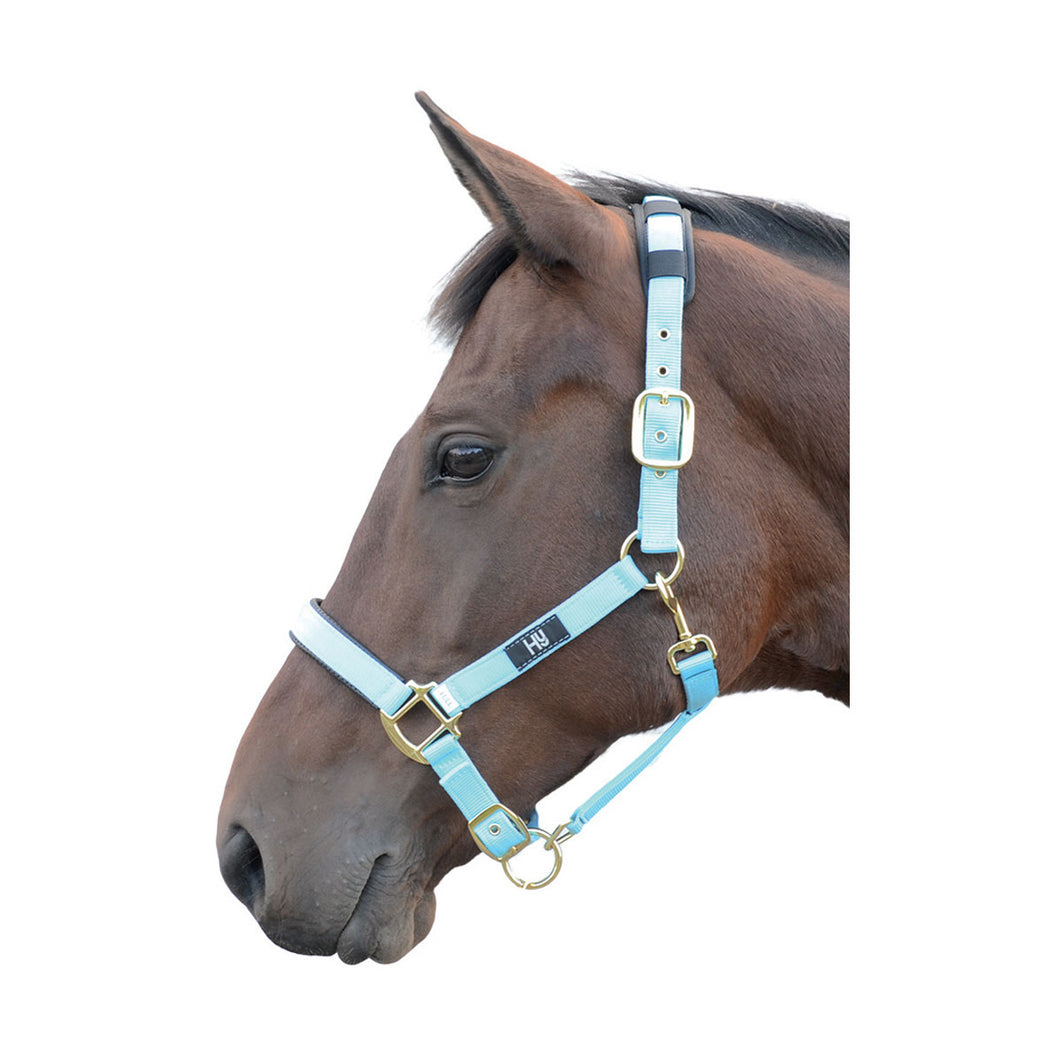 Hy Deluxe Padded Head Collar Bright Blue