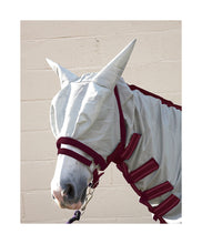 Load image into Gallery viewer, Hy Guardian Fly Rug & Fly Mask