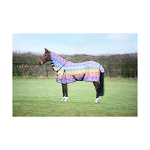 Load image into Gallery viewer, StormX Original Zebra Rainbow Print Fly Rug