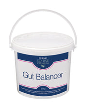 Load image into Gallery viewer, Protexin Gut Balancer