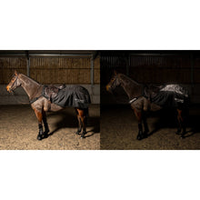 Load image into Gallery viewer, Whitaker Sydney Exercise Sheet Camo