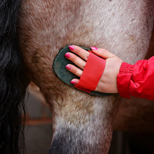 Load image into Gallery viewer, Smart Grooming Super Groomer Deluxe Edition