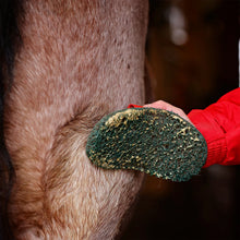 Load image into Gallery viewer, Smart Grooming Super Groomer Deluxe Edition