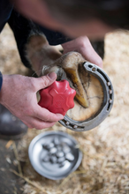 Load image into Gallery viewer, LeMieux Safety Stud Tap Red