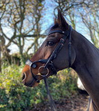 Load image into Gallery viewer, EcoRider Freedom Jump Bridle