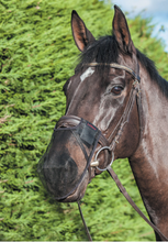 Load image into Gallery viewer, LeMieux Comfort Shield Nose Filter