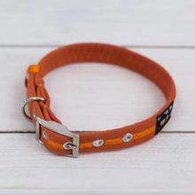 Load image into Gallery viewer, Oscar & Hooch Signature Dog Collar