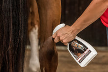 Load image into Gallery viewer, Smart Grooming Gloss N Go Finishing Spray 500ml