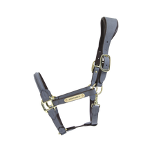 Load image into Gallery viewer, Kentucky Horsewear Anatomic Suede Halter Grey