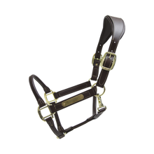 Load image into Gallery viewer, Kentucky Horsewear Anatomic Leather Halter Brown