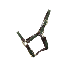 Load image into Gallery viewer, Kentucky Horsewear Plaited Nylon Halter Olive Green