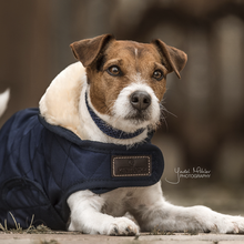 Load image into Gallery viewer, Kentucky Dogwear Dog Coat Original Navy